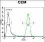POLG Antibody (C-term)
